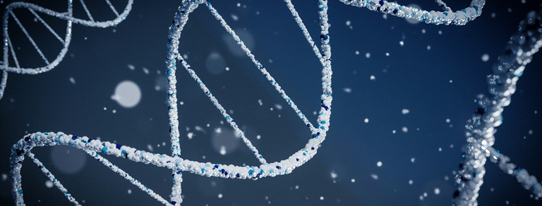 DNA Stränge DNA Stränge