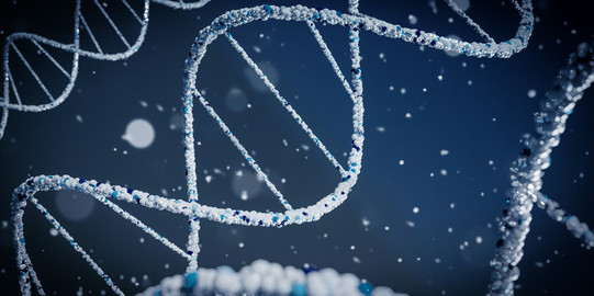 DNA Stränge