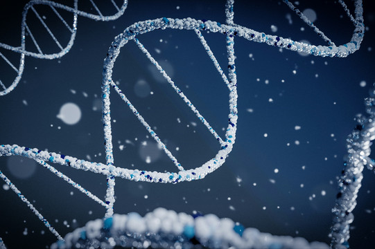 DNA Stränge