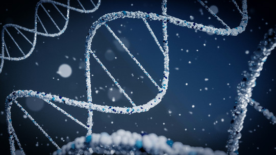 DNA Stränge DNA Stränge